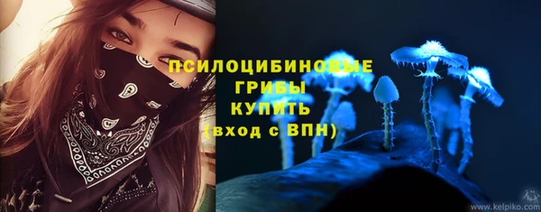 прущий лед Гусь-Хрустальный