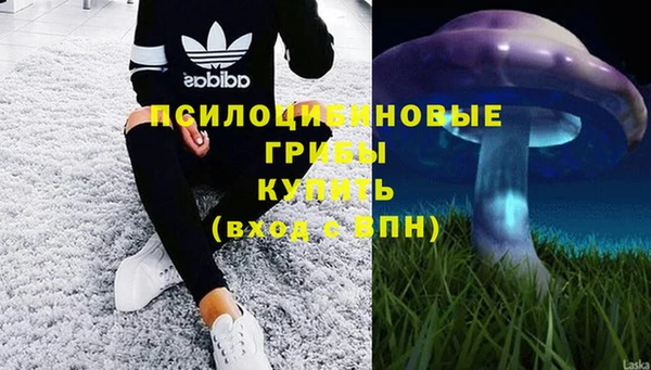 MDMA Гусиноозёрск