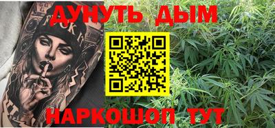 прущие грибы Кандалакша