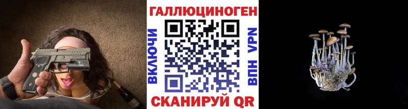 Псилоцибиновые грибы GOLDEN TEACHER  купить закладку  Обь 