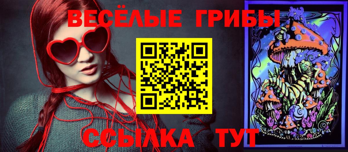 Галлюциногенные грибы мицелий  Вход с VPN  купить наркотики сайты  Обь  Галлюциногенные грибы GOLDEN TEACHER 