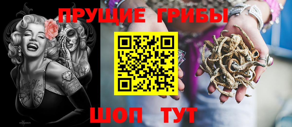 Галлюциногенные грибы Psilocybine cubensis Обь