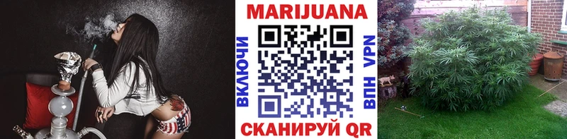 Конопля индика  цены   Обь 